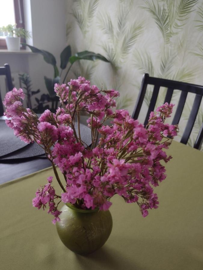 Apartament nad Jeziorakiem Iława Zewnętrze zdjęcie