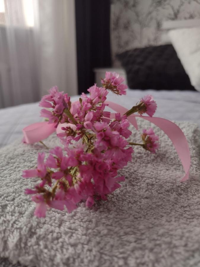 Apartament nad Jeziorakiem Iława Zewnętrze zdjęcie